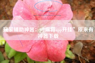 玩家辅助神器:“麻将app开挂”原来有神器下载 玩家辅助神器:“麻将app开挂”原来有神器下载
