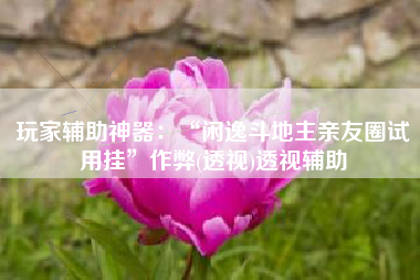 玩家辅助神器：“闲逸斗地主亲友圈试用挂”作弊(透视)透视辅助