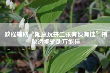 教程辅助“随意玩拼三张有没有挂”揭秘透视辅助万能挂