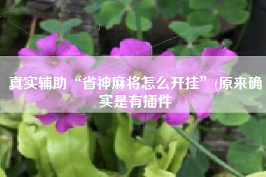 真实辅助“省神麻将怎么开挂”(原来确实是有插件 真实辅助“省神麻将怎么开挂”(原来确实是有插件