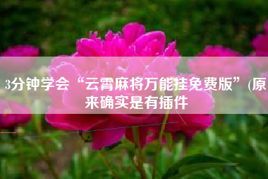 3分钟学会“云霄麻将万能挂免费版”(原来确实是有插件 3分钟学会“云霄麻将万能挂免费版”(原来确实是有插件