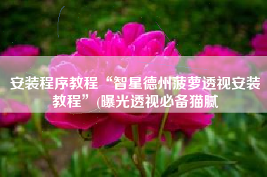 安装程序教程“智星德州菠萝透视安装教程”(曝光透视必备猫腻