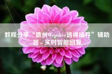 教程分享“德州Wepoker透视插件”辅助器 - 实时智能回复