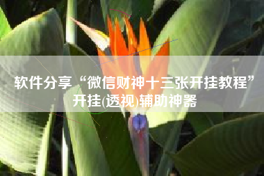 软件分享“微信财神十三张开挂教程”开挂(透视)辅助神器 软件分享“微信财神十三张开挂教程”开挂(透视)辅助神器