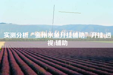 实测分析“金州水鱼开挂辅助”开挂(透视)辅助 实测分析“金州水鱼开挂辅助”开挂(透视)辅助