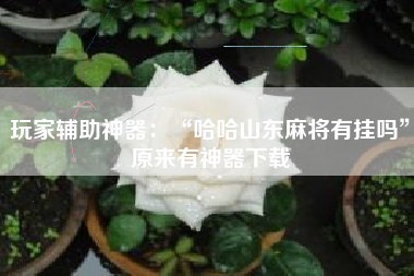 玩家辅助神器:“哈哈山东麻将有挂吗”原来有神器下载 玩家辅助神器:“哈哈山东麻将有挂吗”原来有神器下载