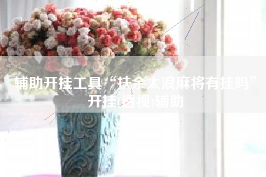 辅助开挂工具“扶余太浪麻将有挂吗”开挂(透视)辅助 辅助开挂工具“扶余太浪麻将有挂吗”开挂(透视)辅助