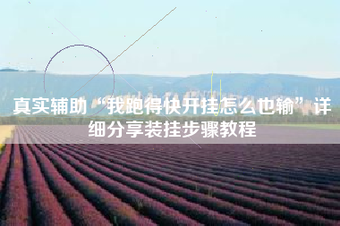 真实辅助“我跑得快开挂怎么也输”详细分享装挂步骤教程 真实辅助“我跑得快开挂怎么也输”详细分享装挂步骤教程