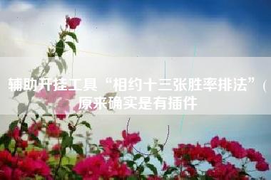 辅助开挂工具“相约十三张胜率排法”(原来确实是有插件