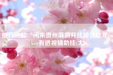 推荐一款“闲来贵州麻将开挂神器红龙poker有透视辅助挂(太