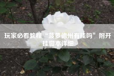 玩家必看教程“菠萝德州有挂吗”附开挂脚本详细 玩家必看教程“菠萝德州有挂吗”附开挂脚本详细