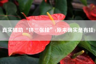 真实辅助“拼三张挂”(原来确实是有挂) 真实辅助“拼三张挂”(原来确实是有挂)