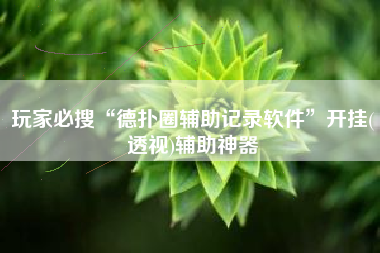 玩家必搜“德扑圈辅助记录软件”开挂(透视)辅助神器