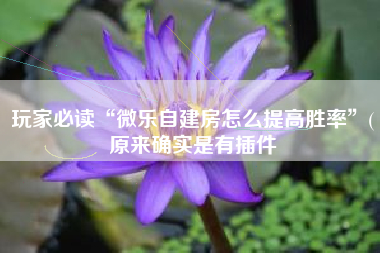 玩家必读“微乐自建房怎么提高胜率”(原来确实是有插件 玩家必读“微乐自建房怎么提高胜率”(原来确实是有插件