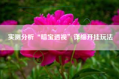 实测分析“暗宝透视”详细开挂玩法