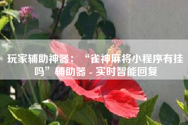 玩家辅助神器：“雀神麻将小程序有挂吗”辅助器 - 实时智能回复