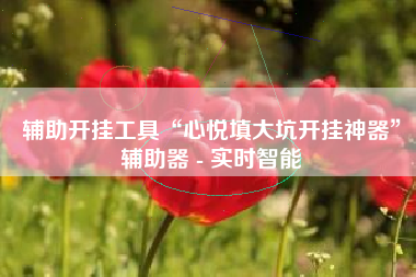 辅助开挂工具“心悦填大坑开挂神器”辅助器 - 实时智能