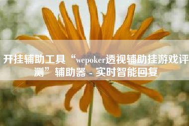 开挂辅助工具“wepoker透视辅助挂游戏评测”辅助器 - 实时智能回复