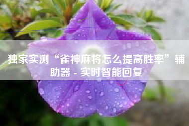 独家实测“雀神麻将怎么提高胜率”辅助器 - 实时智能回复