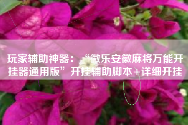 玩家辅助神器：“微乐安徽麻将万能开挂器通用版”开挂辅助脚本+详细开挂