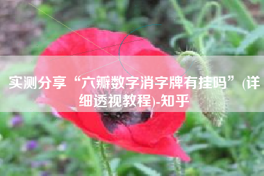 实测分享“六瓣数字消字牌有挂吗”(详细透视教程)-知乎