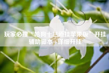 玩家必搜“哈狗十三道挂苹果版”开挂辅助脚本+详细开挂 玩家必搜“哈狗十三道挂苹果版”开挂辅助脚本+详细开挂