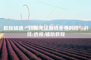 教程辅助“欢聚龙江麻将免费的挂”开挂(透视)辅助教程 教程辅助“欢聚龙江麻将免费的挂”开挂(透视)辅助教程