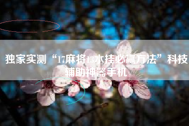 独家实测“17麻将13水挂必赢方法”科技辅助神器手机 独家实测“17麻将13水挂必赢方法”科技辅助神器手机