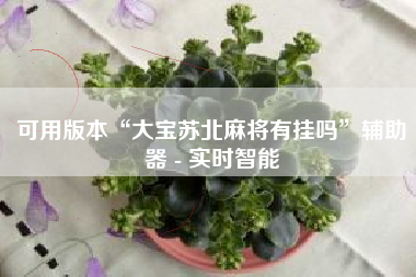 可用版本“大宝苏北麻将有挂吗”辅助器 - 实时智能