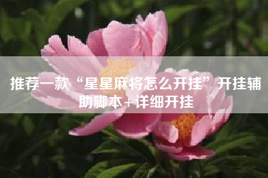 推荐一款“星星麻将怎么开挂”开挂辅助脚本+详细开挂