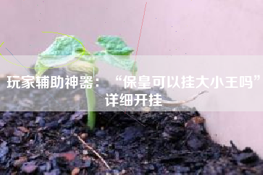 玩家辅助神器:“保皇可以挂大小王吗”详细开挂 玩家辅助神器:“保皇可以挂大小王吗”详细开挂