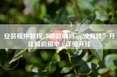 安装程序教程“哪款麻将app没有挂”开挂辅助脚本+详细开挂