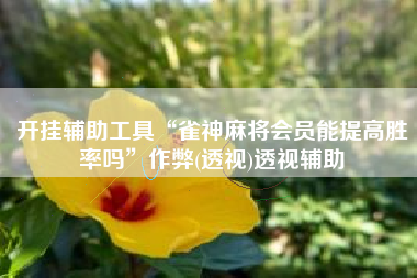 开挂辅助工具“雀神麻将会员能提高胜率吗”作弊(透视)透视辅助