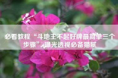 必看教程“斗地主不起好牌最简单三个步骤”(曝光透视必备猫腻 必看教程“斗地主不起好牌最简单三个步骤”(曝光透视必备猫腻