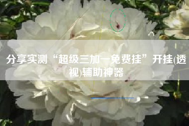 分享实测“超级三加一免费挂”开挂(透视)辅助神器