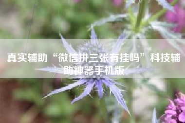 真实辅助“微信拼三张有挂吗”科技辅助神器手机版