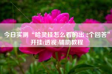 今日实测“哈灵挂怎么看的出 2个回答”开挂(透视)辅助教程 今日实测“哈灵挂怎么看的出 2个回答”开挂(透视)辅助教程