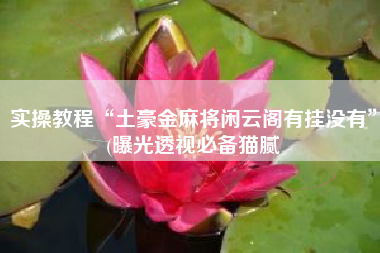 实操教程“土豪金麻将闲云阁有挂没有”(曝光透视必备猫腻 实操教程“土豪金麻将闲云阁有挂没有”(曝光透视必备猫腻