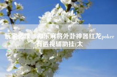 玩家必读“微乐麻将外卦神器红龙poker有透视辅助挂(太