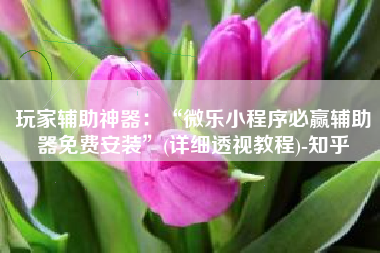 玩家辅助神器:“微乐小程序必赢辅助器免费安装”(详细透视教程)-知乎 玩家辅助神器:“微乐小程序必赢辅助器免费安装”(详细透视教程)-知乎