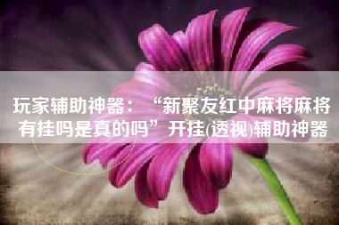 玩家辅助神器：“新聚友红中麻将麻将有挂吗是真的吗”开挂(透视)辅助神器