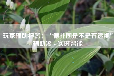 玩家辅助神器：“德扑圈是不是有透视”辅助器 - 实时智能