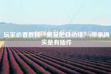 玩家必看教程“聚友吧自动挂”(原来确实是有插件 玩家必看教程“聚友吧自动挂”(原来确实是有插件