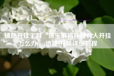 辅助开挂工具“微乐麻将怀疑有人开挂怎么办”(透视)开挂详细教程