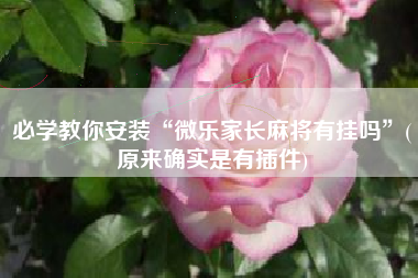 必学教你安装“微乐家长麻将有挂吗”(原来确实是有插件) 必学教你安装“微乐家长麻将有挂吗”(原来确实是有插件)