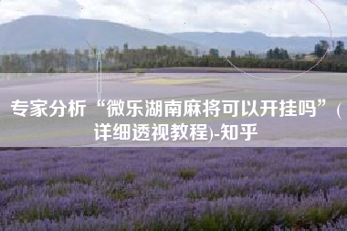 专家分析“微乐湖南麻将可以开挂吗”(详细透视教程)-知乎