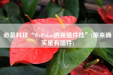 必备科技“WePoker透视插件挂”(原来确实是有插件)