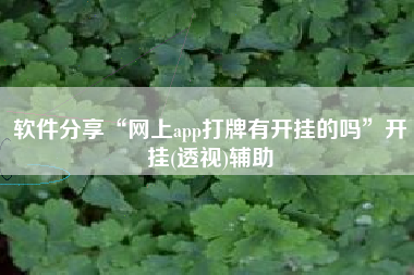 软件分享“网上app打牌有开挂的吗”开挂(透视)辅助