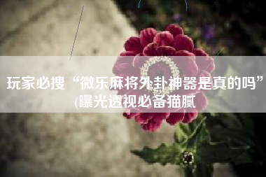 玩家必搜“微乐麻将外卦神器是真的吗”(曝光透视必备猫腻