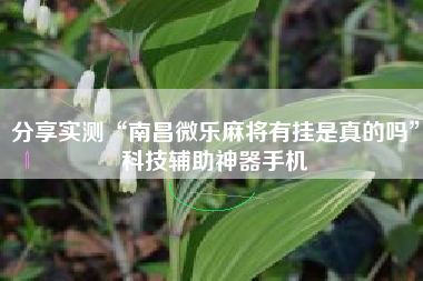 分享实测“南昌微乐麻将有挂是真的吗”科技辅助神器手机